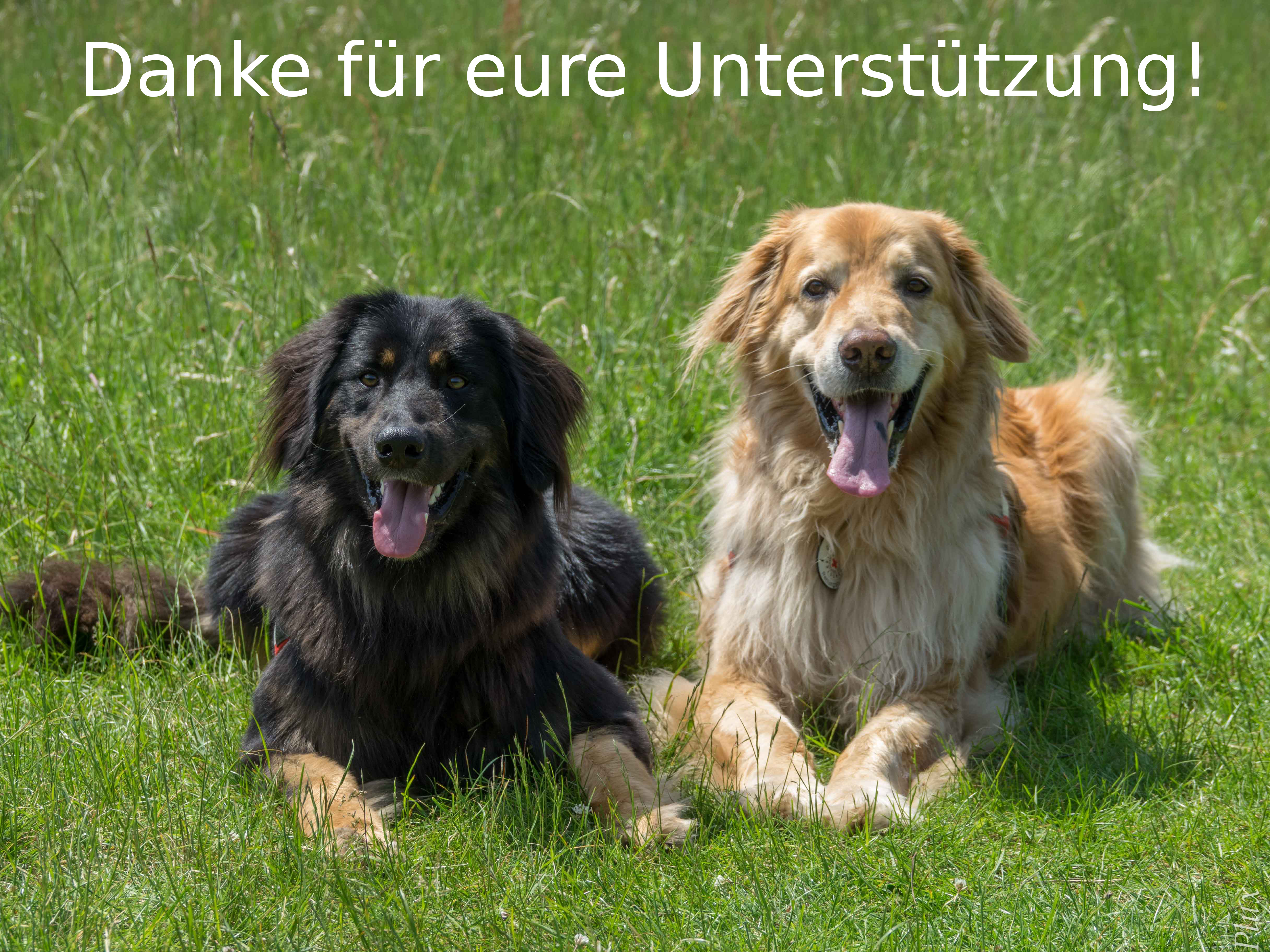 Bruce und Toni sagen Danke