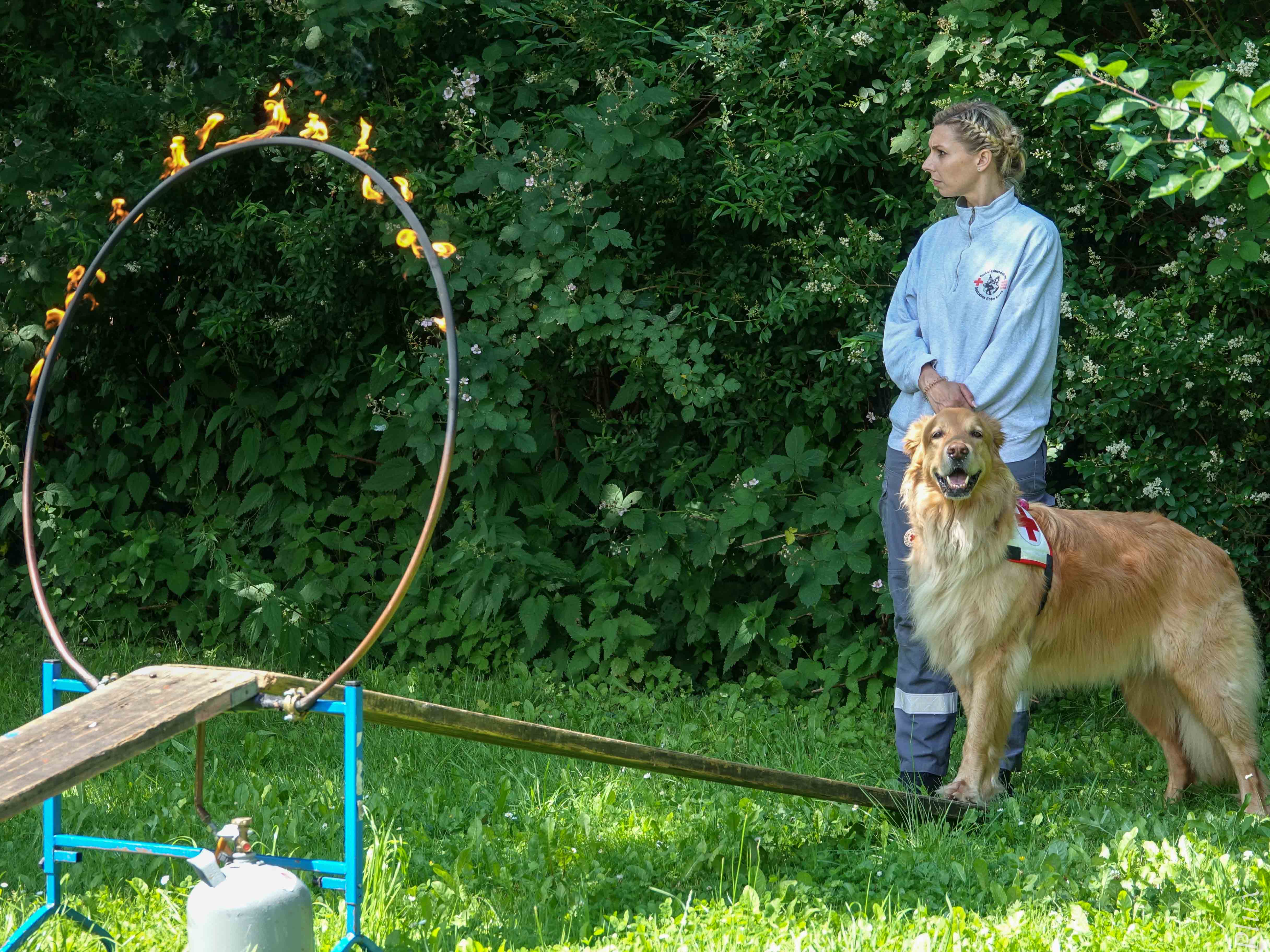 "Bruce am Feuerring" "Bruce am Feuerring"