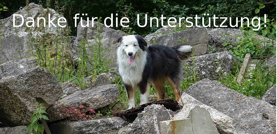 Bolle sagt danke Bolle sagt danke